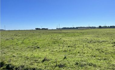 LATORRE PROP. VENDE 51 HECTAREAS EN VIVORATA