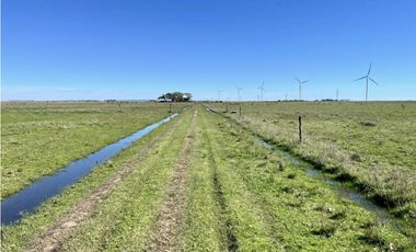 LATORRE PROP. VENDE 51 HECTAREAS EN VIVORATA