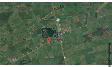 LATORRE PROP. VENDE 51 HECTAREAS EN VIVORATA