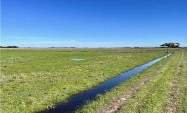 LATORRE PROP. VENDE 51 HECTAREAS EN VIVORATA