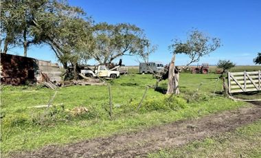 LATORRE PROP. VENDE 51 HECTAREAS EN VIVORATA