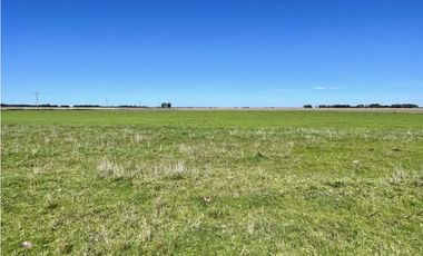 LATORRE PROP. VENDE 51 HECTAREAS EN VIVORATA