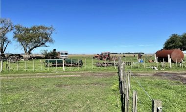 LATORRE PROP. VENDE 51 HECTAREAS EN VIVORATA