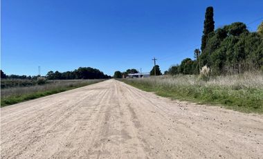 LATORRE PROP. VENDE 51 HECTAREAS EN VIVORATA
