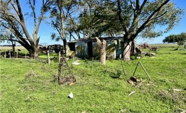 LATORRE PROP. VENDE 51 HECTAREAS EN VIVORATA