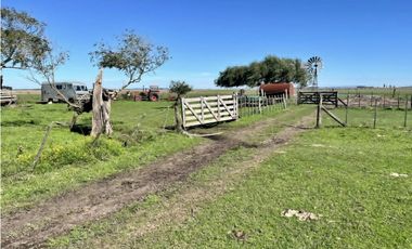 LATORRE PROP. VENDE 51 HECTAREAS EN VIVORATA