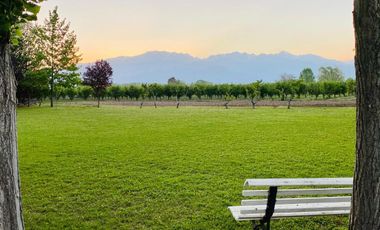 Gran Propiedad Turística en Venta en Valle de Uco