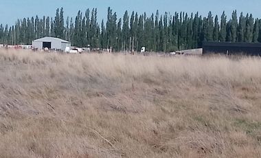 HECTAREA EN ALQUILER-PLOTTIER PARQUE INDUSTRIAL