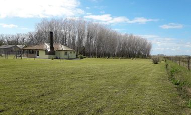 Quinta 5 ambientes en venta Magdalena pileta