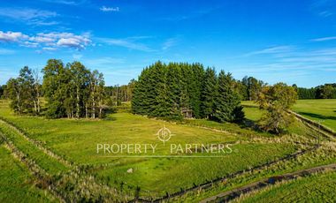 Precioso terreno plano de 11 hectareas subdividido en 17 lotes con laguna interior y orilla de rio