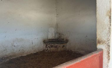 Terreno comercial en renta en Santa Inés, Texcoco, México