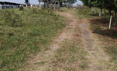Venta de Rancho Sabanillas-Tamiahua. Veracruz.