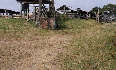 Venta de Rancho Sabanillas-Tamiahua. Veracruz.