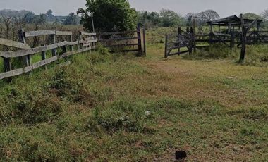 Venta de Rancho Sabanillas-Tamiahua. Veracruz.