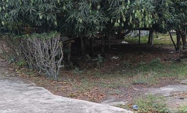 Venta de Rancho Sabanillas-Tamiahua. Veracruz.