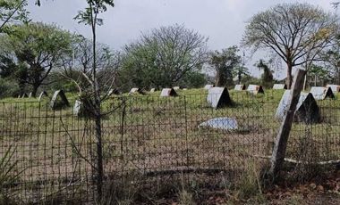 Venta de Rancho Sabanillas-Tamiahua. Veracruz.
