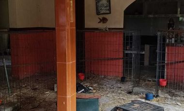 Venta de Rancho Sabanillas-Tamiahua. Veracruz.