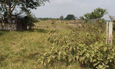 Venta de Rancho Sabanillas-Tamiahua. Veracruz.