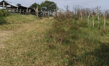 Venta de Rancho Sabanillas-Tamiahua. Veracruz.