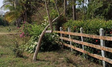 Venta de Rancho Sabanillas-Tamiahua. Veracruz.