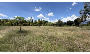 VENTA DE FINCA EN TEBAIDA, QUINDO, COLOMBIA