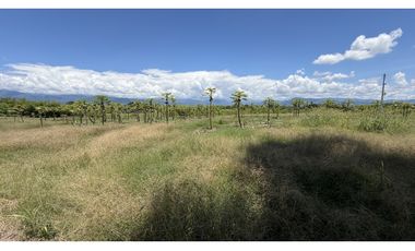 VENTA DE FINCA EN TEBAIDA, QUINDO, COLOMBIA