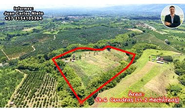 VENTA DE FINCA EN TEBAIDA, QUINDO, COLOMBIA