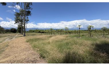 VENTA DE FINCA EN TEBAIDA, QUINDO, COLOMBIA