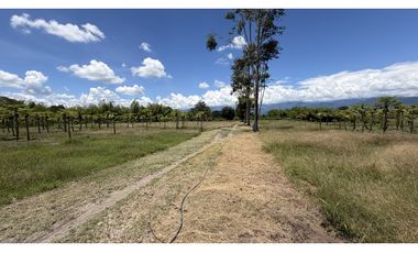 VENTA DE FINCA EN TEBAIDA, QUINDO, COLOMBIA