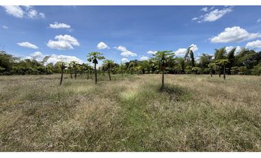 VENTA DE FINCA EN TEBAIDA, QUINDO, COLOMBIA