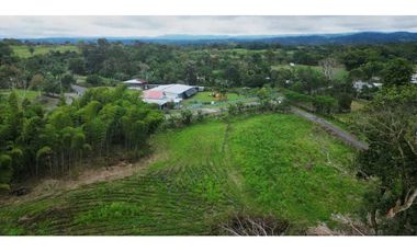 Vendo finca en Caizan chiriqui