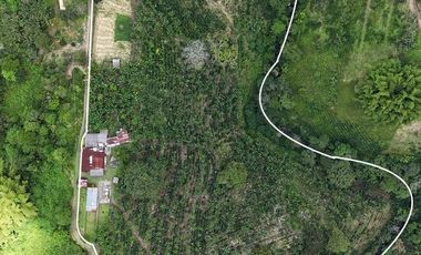 EN VENTA FINCA EN FILANDIA QUINDIO