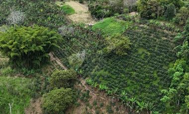 EN VENTA FINCA EN FILANDIA QUINDIO