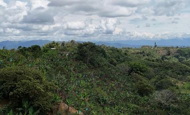 EN VENTA FINCA EN FILANDIA QUINDIO