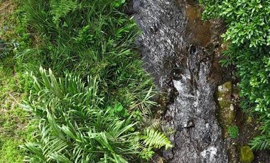 EN VENTA FINCA EN FILANDIA QUINDIO