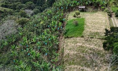 EN VENTA FINCA EN FILANDIA QUINDIO
