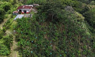 EN VENTA FINCA EN FILANDIA QUINDIO