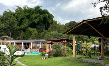 VENDO FINCA ENTRE FILANDIA Y QUIMBAYA