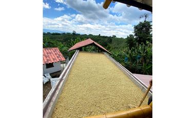 VENDO FINCA ENTRE FILANDIA Y QUIMBAYA