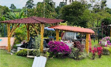 VENDO FINCA ENTRE FILANDIA Y QUIMBAYA