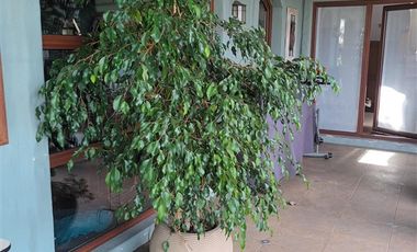 Casa en Arriendo en condominio Santa Raquel