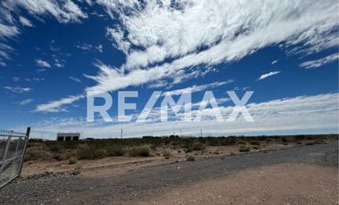 ALQUILER GALPON NUEVA RUTA DEL PETROLEO NEUQUEN