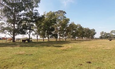 VENTA LOTE FINCAS DON OCTAVIO FLORENCIO VARELA