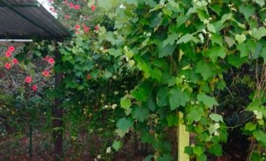 Casa en venta en San Justo