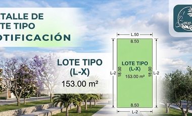 TERRENO RESIDENCIAL EN EL BUEN OLIVO, LERDO DURANGO.