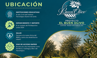 TERRENO RESIDENCIAL EN EL BUEN OLIVO, LERDO DURANGO.