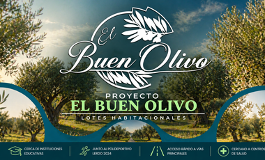 TERRENO RESIDENCIAL EN EL BUEN OLIVO, LERDO DURANGO.