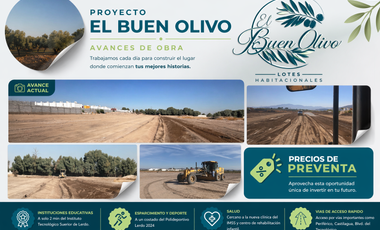 TERRENO RESIDENCIAL EN EL BUEN OLIVO, LERDO DURANGO.