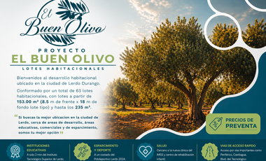 TERRENO RESIDENCIAL EN EL BUEN OLIVO, LERDO DURANGO.
