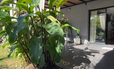 Casa en venta en barrio Alamo Alto-5 Amb-Galería-Pileta.